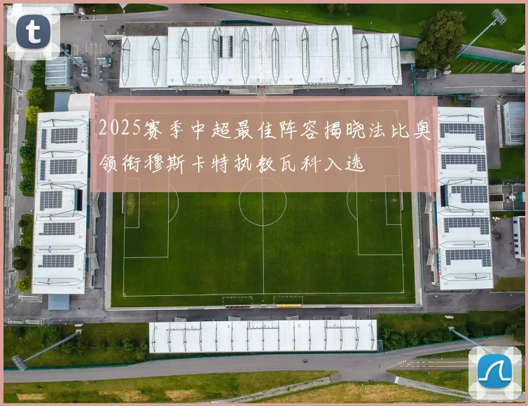 2025赛季中超最佳阵容揭晓法比奥领衔穆斯卡特执教瓦科入选