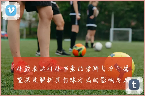 林葳表达对林书豪的崇拜与学习愿望深度解析其打球方式的影响与启发