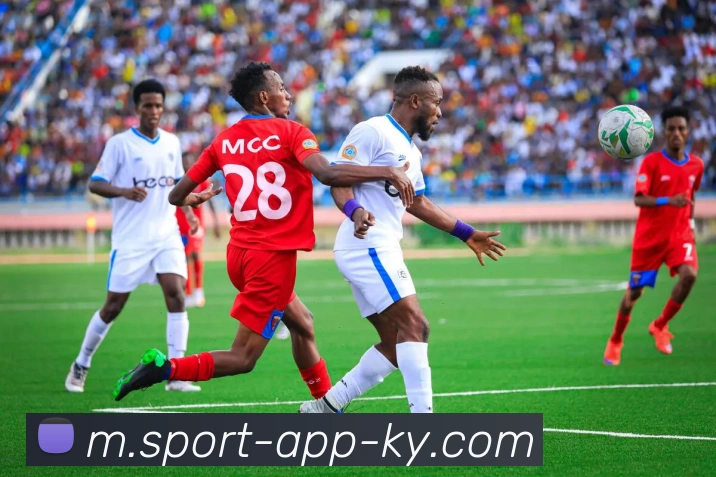 App Interface Preview