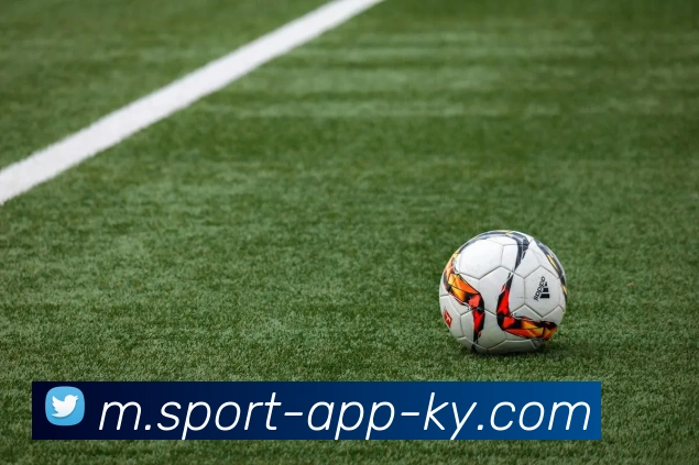 开云体育APP 封面图